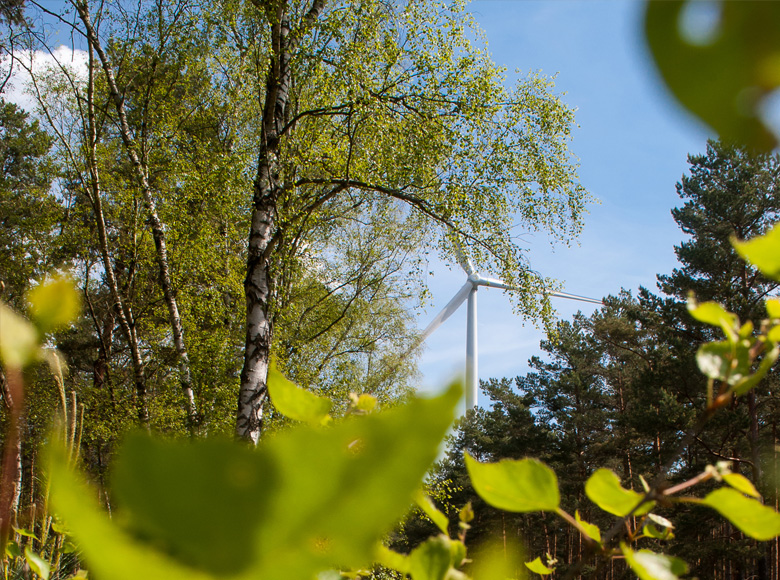 L’éolien en contexte boisé