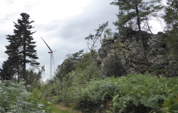 Windpark Berger Wacken