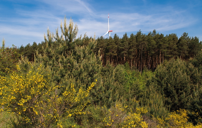 Windpark Uckley