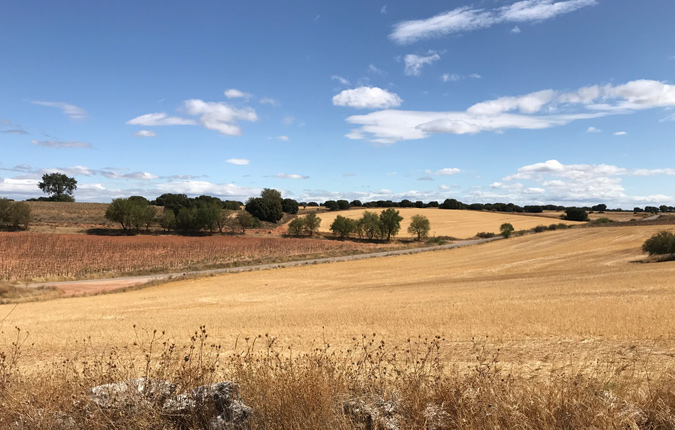 ABO Wind vende un proyecto de 100 megavatios en España