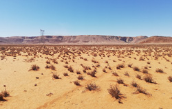 Batterieprojekten in Südafrika