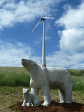 Eisbären an der Traumschleifen-Station