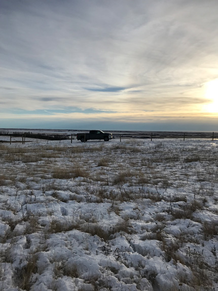 Nose Hill Wind Farm