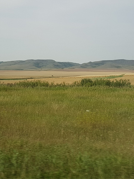 Nose Hill Wind Farm