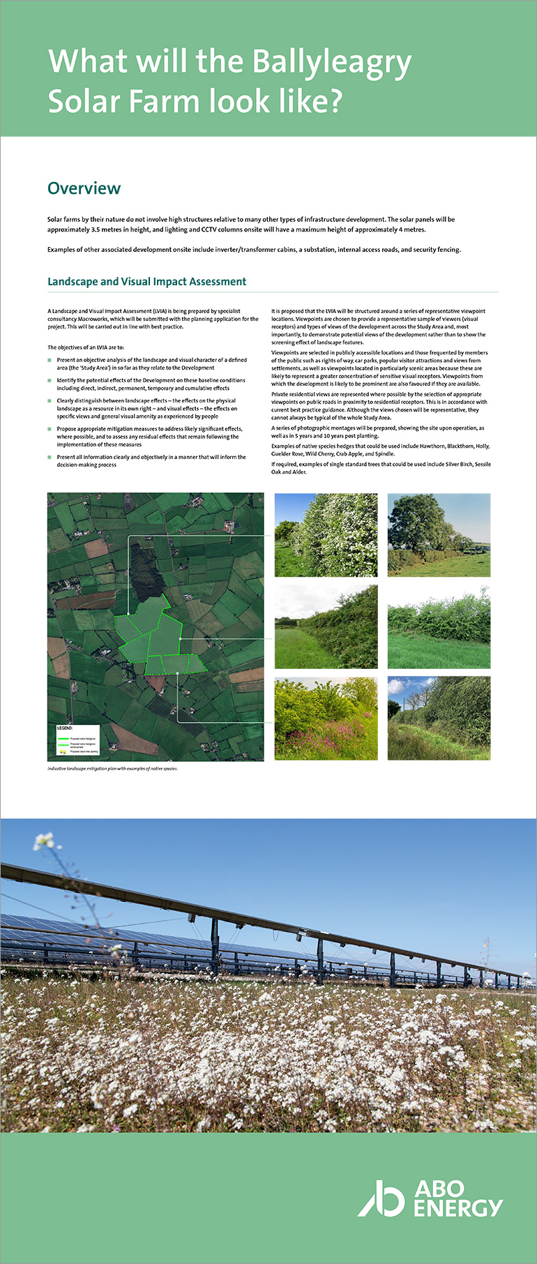 What will the Ballyleagry Solar Farm look like?