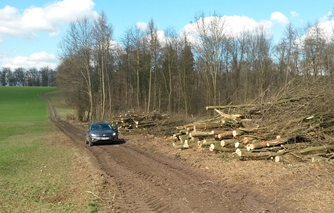 Windparkplanung in Hirschlanden