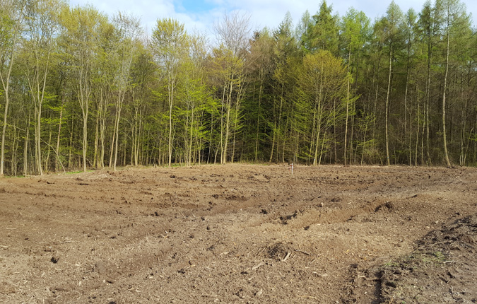 Windparkplanung in Hirschlanden