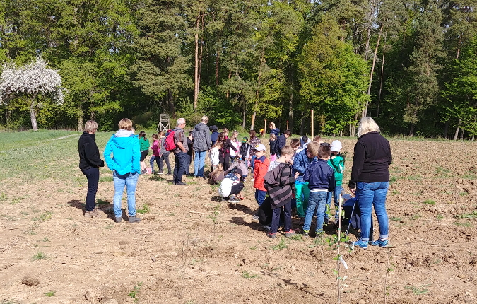 Grundschüler bepflanzen Ausgleichsflächen