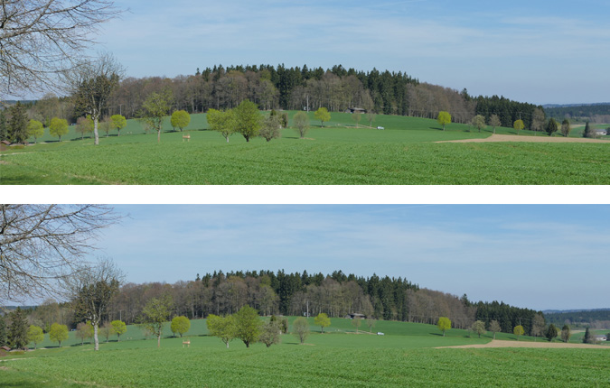 Heiligenberg, Amalienhöhe