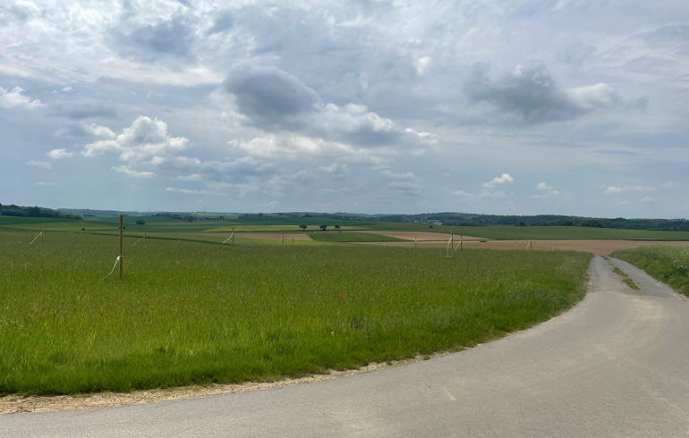 Solarparkplanung in Osterburken-Schlierstadt