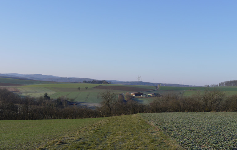 Blick über Naunstadt