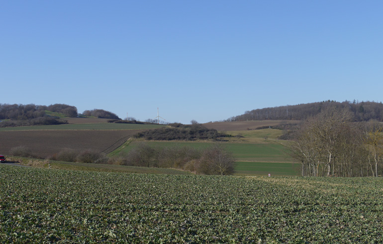 Blick über Oberlauken