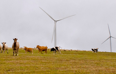 Landowners